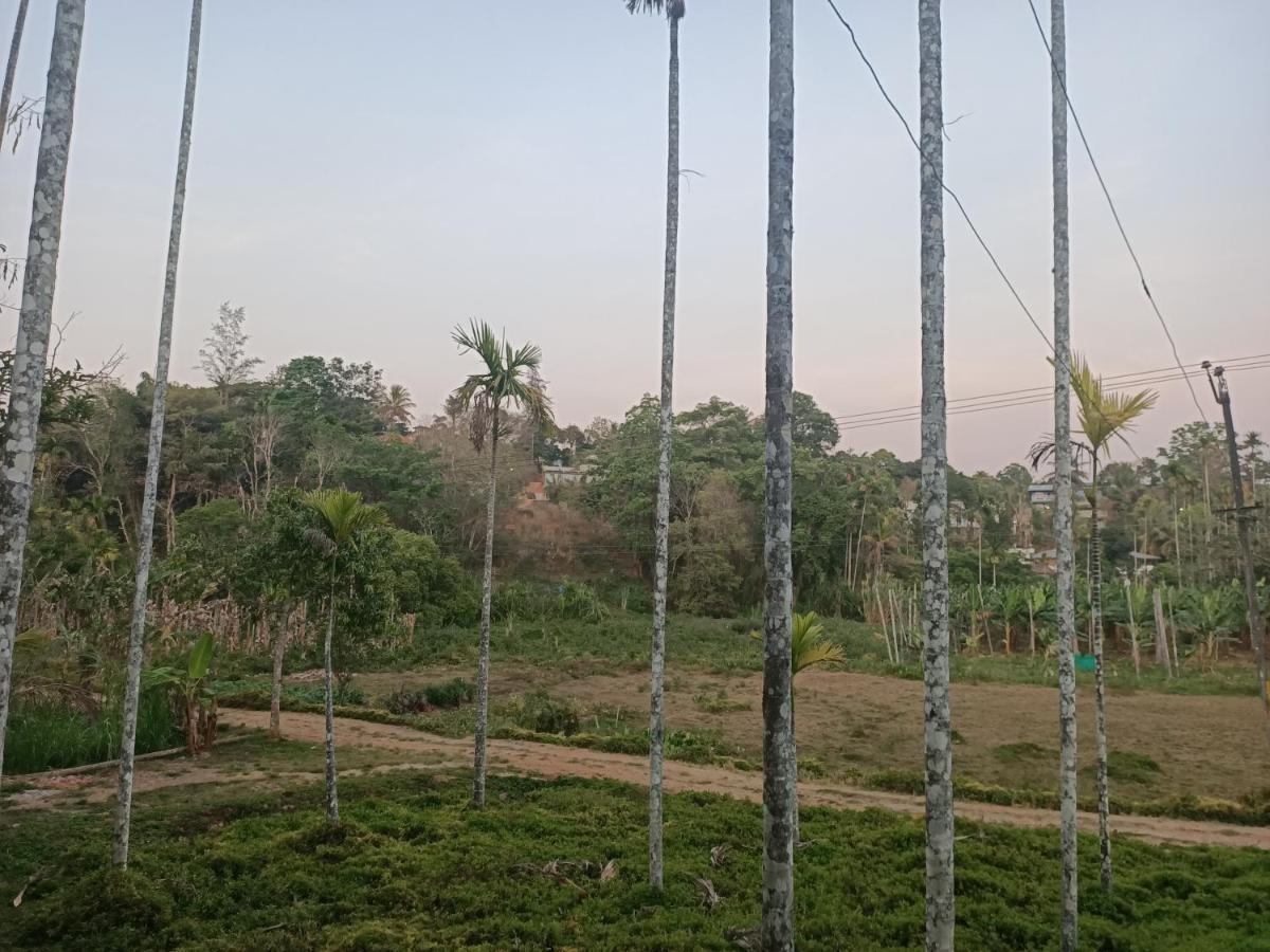 Bethel Service Villa, Mananthavady, Wayanad Extérieur photo